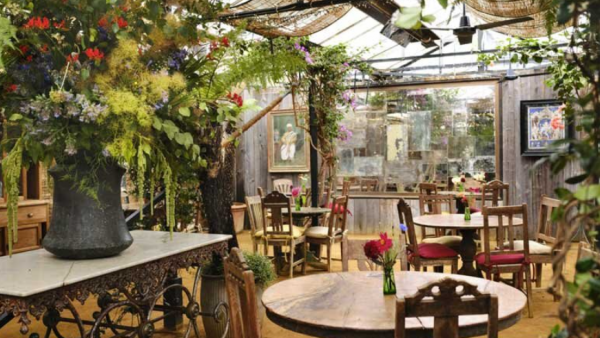 Penggunaan Tanaman atau Tanaman Hias